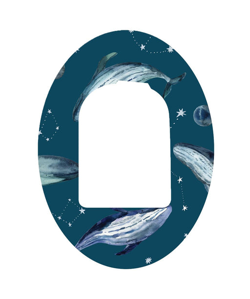 Midnight Whales Patch+ Omnipod Tape 1-Pack